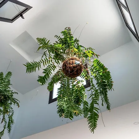 Comfortable House In With Free Parking * Tias